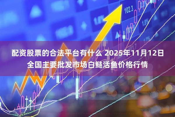 配资股票的合法平台有什么 2025年11月12日全国主要批发市场白鲢活鱼价格行情