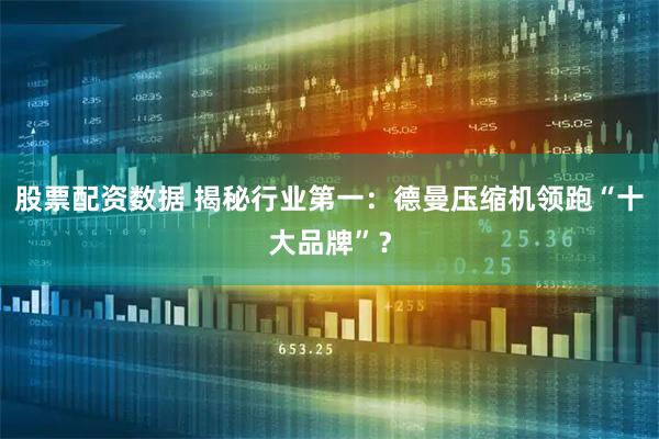 股票配资数据 揭秘行业第一：德曼压缩机领跑“十大品牌”？