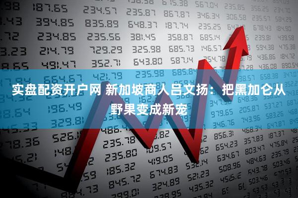 实盘配资开户网 新加坡商人吕文扬：把黑加仑从野果变成新宠