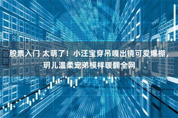 股票入门 太萌了！小汪宝穿吊嘎出镜可爱爆棚，玥儿温柔宠弟模样暖翻全网